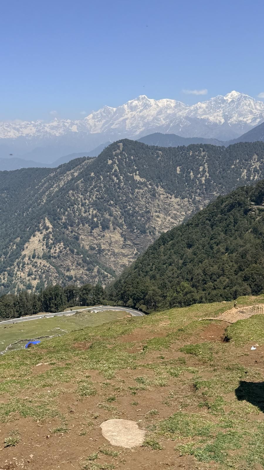 A grassy meadow in the foreground, forested ridges beyond and a long snow-capped Himalayan range under a clear sky.